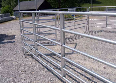 China Round Pipe Horse Corral Fencing , 12x4ft Size Galvanised Steel Farm Gates supplier