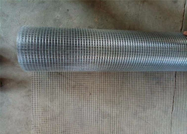 China Sturdy Welded Wire Mesh Rolls 1/4 Inch Aperture Superior Strength Throughout Ability supplier