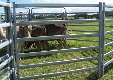 China Iron Steel Cattle Fence Panel 42x115MM Tube Size For Protecting Horse supplier