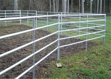 China Eco Friendly Flat Surface Corral Fence Panels 32mm Pipe Size With 6 Rails supplier