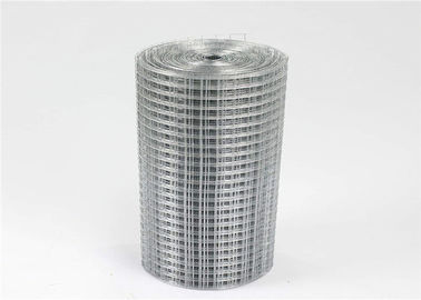 China Anti Broken Bird Cage Wire Mesh , Smooth Edge Black Wire Fence Roll Square Hole supplier