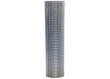 China 4x4 In Hole Szie Welded Wire Mesh Rolls Square Opening For Poultry Mesh supplier