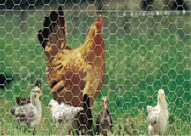 China High Strength Welded Hexagonal Wire Netting , PVC Coated Green Chicken Wire Mesh supplier