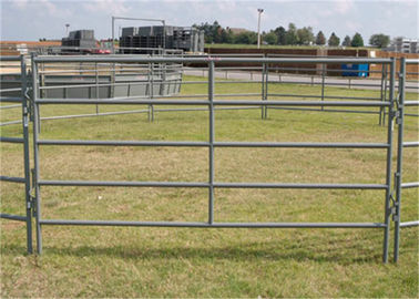 China Durable Galvanized Cattle Panels Study With Inter Locking OEM / ODM Service supplier
