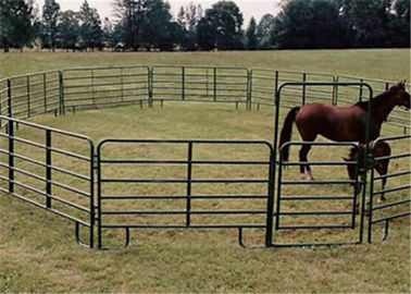 China 2.7m Height Portable Horse Corrals , Strong Structure Galvanized Horse Corral Panels supplier