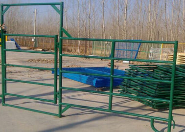 China 16 Foot Heavy Duty Livestock Fence Panels 40mm × 40mm Square Pipe Dimension supplier