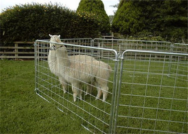 China Galvanized Sheep Fencing Panel Corral Fence Panel with Half Mesh supplier
