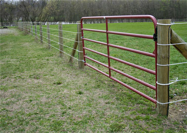 China Hot Dipped Galvanized Welded Pipe Corral Fence Panels 10ft Or 12ft Length supplier