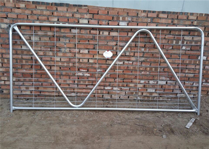 N Type Metal Cattle Fence , Metal Tube Farm Gates With W / Hinge And Latch