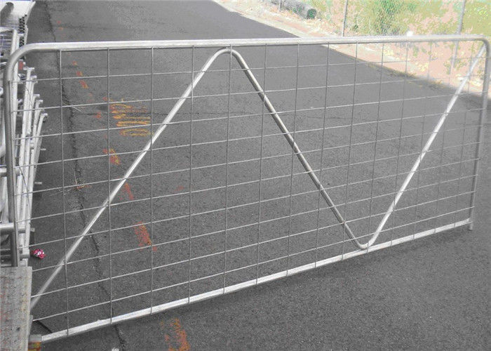 N Type Metal Cattle Fence , Metal Tube Farm Gates With W / Hinge And Latch