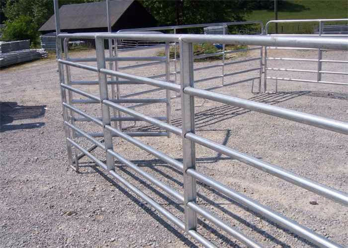 Round Pipe Horse Corral Fencing , 12x4ft Size Galvanised Steel Farm Gates