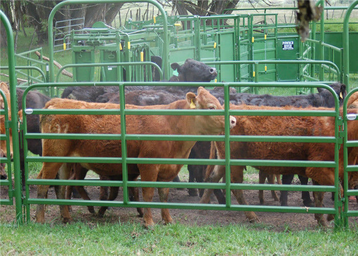 Flexible Steel Fence Panels Livestock No Sharp Edge For Cattle Sheep Horse