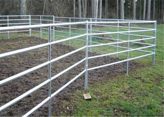 Eco Friendly Flat Surface Corral Fence Panels 32mm Pipe Size With 6 Rails