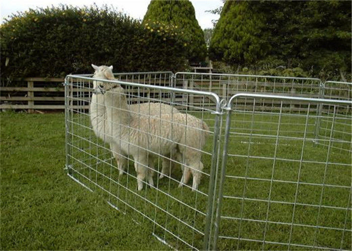 Galvanized Sheep Fencing Panel Corral Fence Panel with Half Mesh