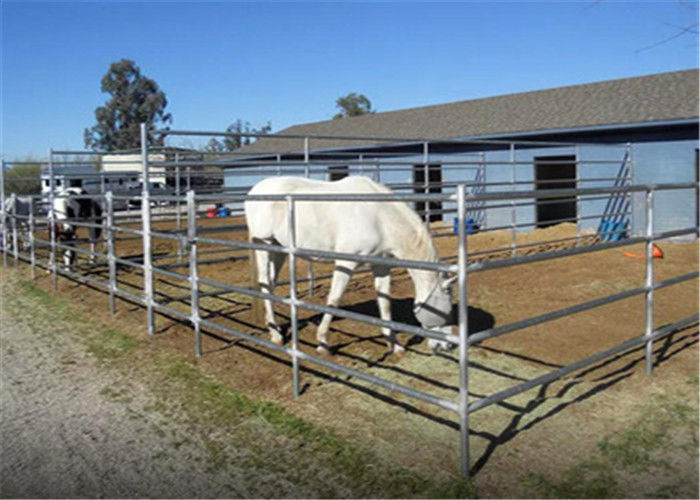 Outdoor Personalized Livestock Fencing Panels / Cattle Panel Fence Gate