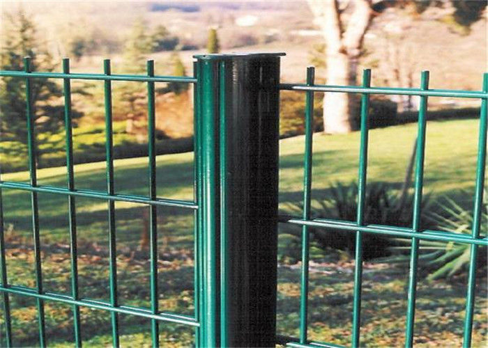 European Style Double Wire Mesh Fence Panel Security Strong Strength 2.5*3m / 2*3m